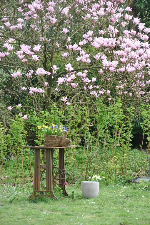 D'hotes, La Petite Madeleine Holiday home