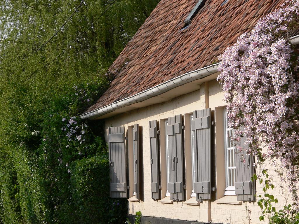 D'hotes, La Petite Madeleine *
